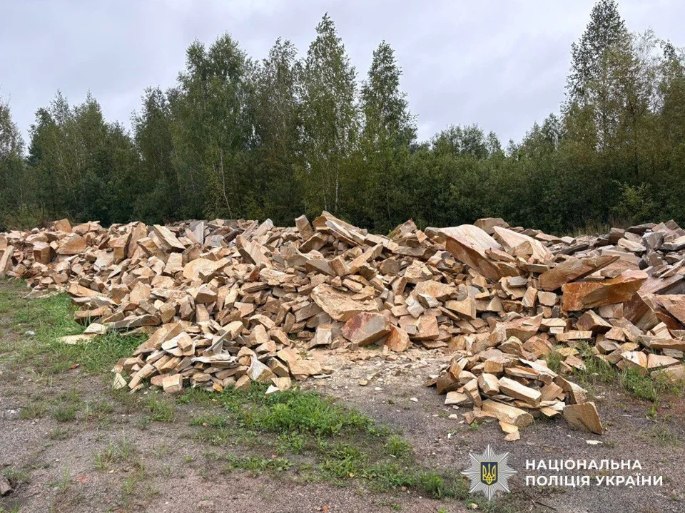 Мільйонні збитки на Житомирщині: перед судом постануть учасники нелегального промислу