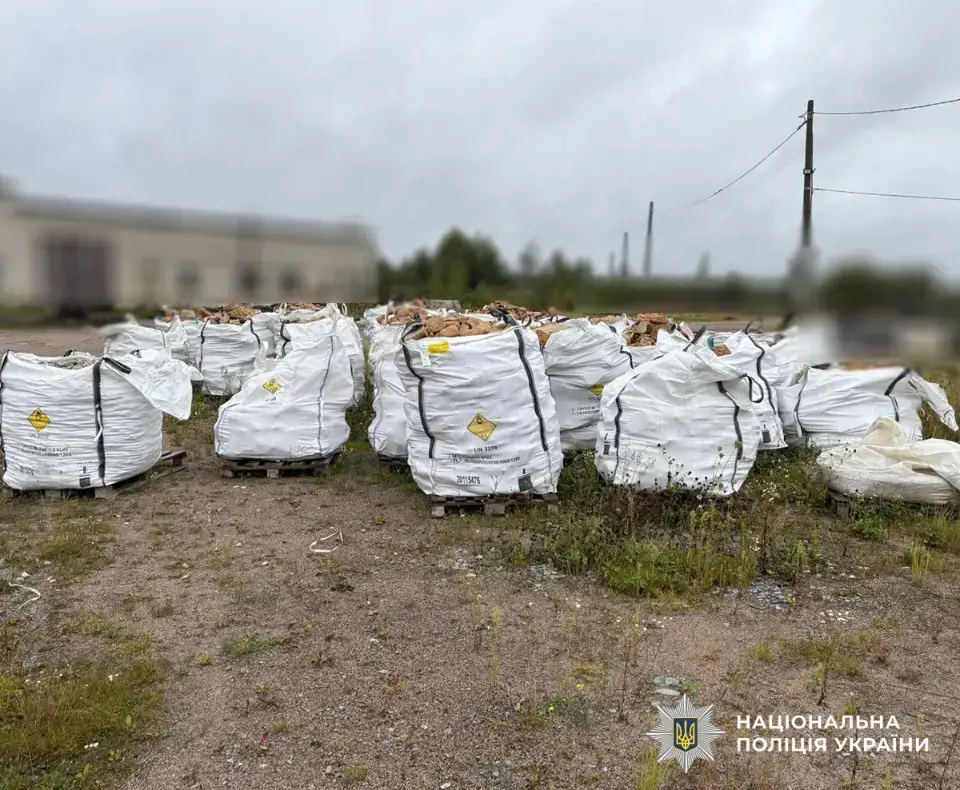 Мільйонні збитки на Житомирщині: перед судом постануть учасники нелегального промислу