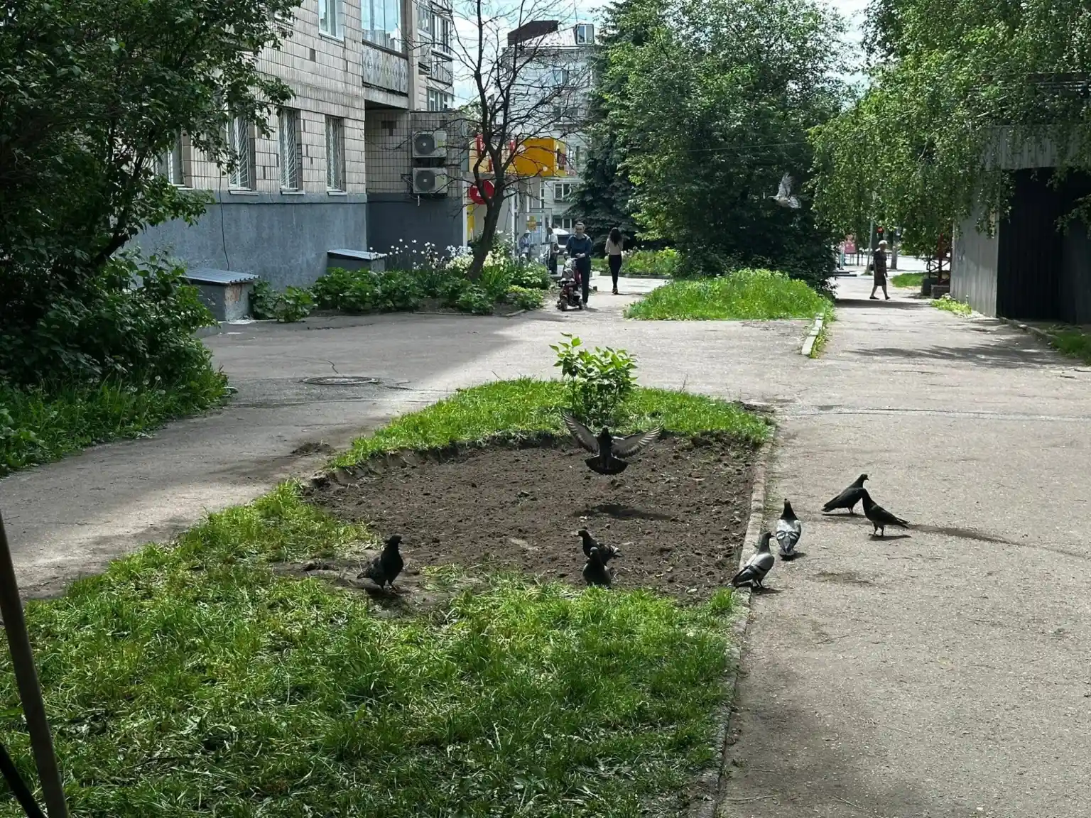 У Житомирі містяни власноруч створили затишну зону відпочинку на проспекті Перемоги
